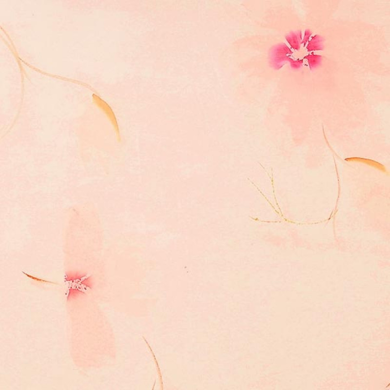 Peach-Coloured Floral Organza Saree